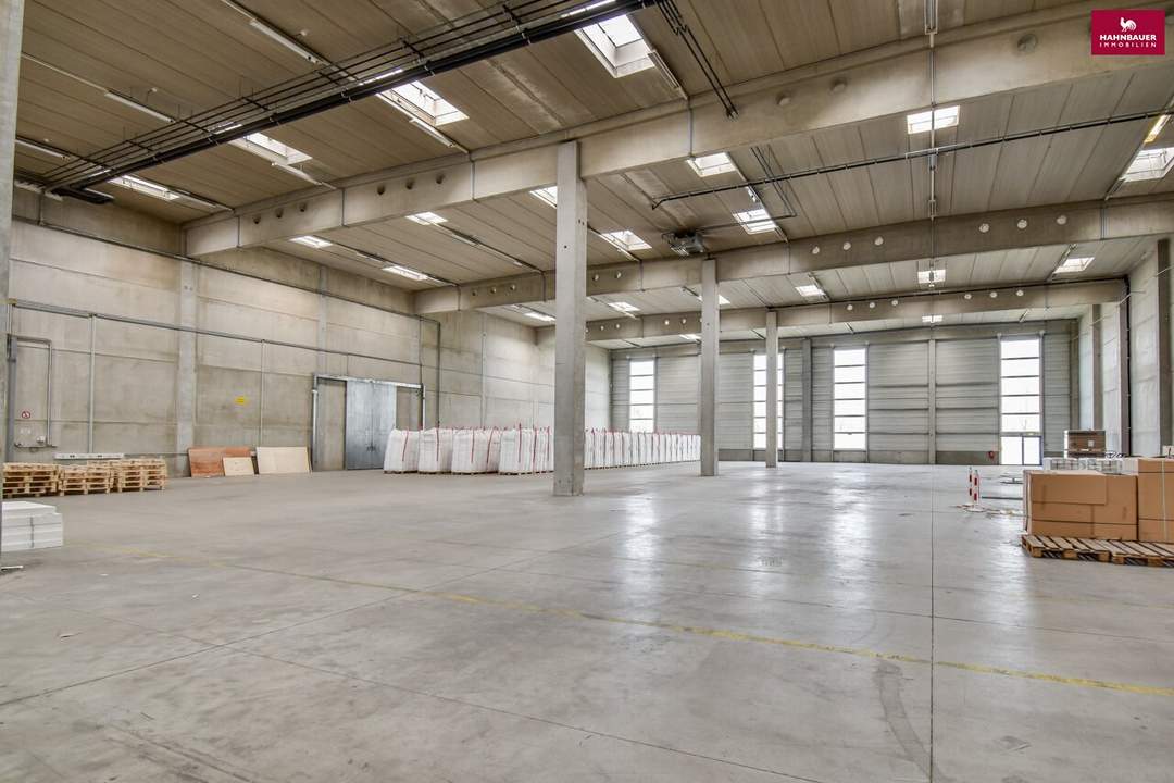 Halle, Lager, Hochregallager inkl. Rampe- 1270 m2 in Wr. Neudorf