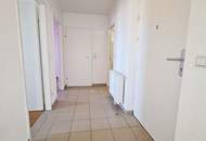 TERRASSENHIT, UNBEFRISTET, 84 m2 Dachgeschoß mit 64 m2 Terrasse, Wohnküche, 2 Zimmer, Wannenbad, Parketten, Fernblick, Holbeingasse