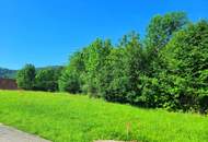 Sonnenlage am Waldrand, Schöcklblick, aufgeschlossen & frei von Servituten (1 in Verhandlung/1 frei)