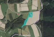 Alleinlage: Seminarhof-Wohnen-Tierhaltung in Neustadtl