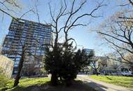 UNBEFRISTETE 3 Zimmer mit Loggia und vielen Extras im Haus nahe Belvedere!