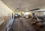 Bauland Dorfgebiet mit Bestand – 1.912 m² Potenzialfläche