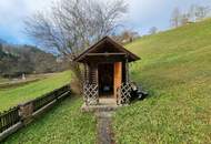 Gemütliches Einfamilienhaus in Hofstadtgegend