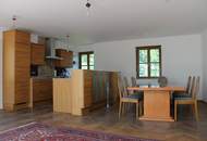 RARITÄT: PERFEKTES, MODERNES ARCHITEKTENHAUS AN DER DONAULÄNDE ALS REPRÄSENTATIVER WOHNSITZ AUF HÖCHSTEM NIVEAU MIT DONAUBLICK
