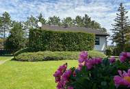 Das Leben genießen! Gemütliches Einfamilienhaus in ruhiger Lage mit tollem Garten!