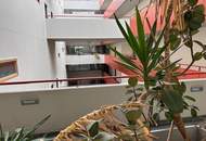 2-Zimmer Wohnung im Wohnpark Donaucity inkl. Komplettküche, Loggia und Kellerabtei