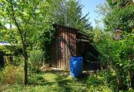 Kleingarten-Parzelle in Hietzing - Ober St. Veit beim Lainzer Tiergarten