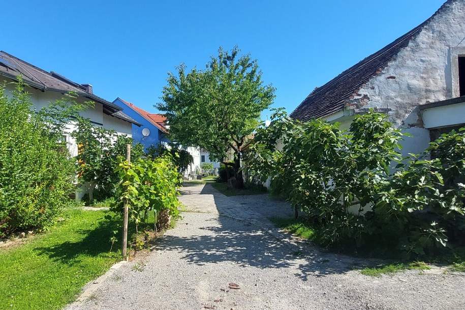 Altburgenländischer Streckhof und Lagerräume, Haus-kauf, 199.000,€, 7062 Eisenstadt-Umgebung
