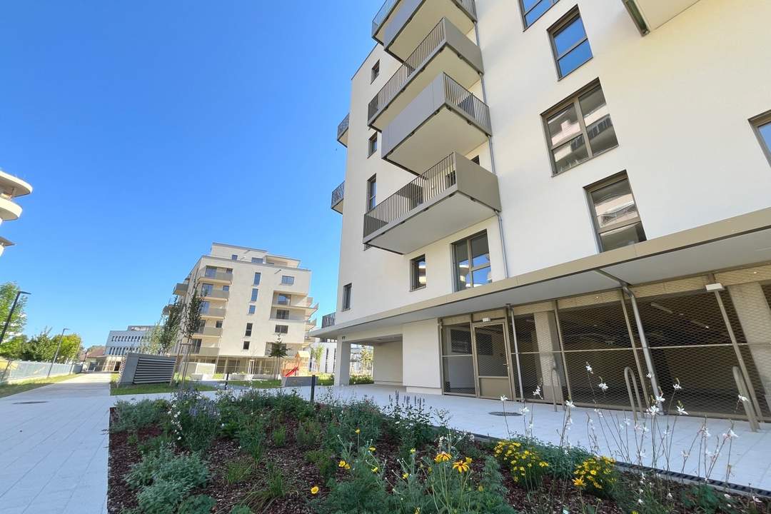 WILLKOMMEN IM SCHLOSSPARK! TRAUMHAFT SCHÖN | MODERN UND IM GRÜNEN