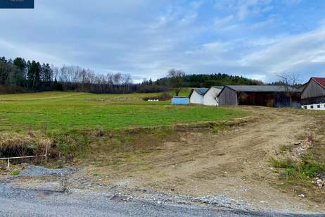 Besonderes Baugrundstück in Uttissenbach bei Zwettl - 4.519 ² Grundstücksfläche im Grünen, Grund und Boden-kauf, 86.000,€, 3910 Zwettl