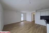 Großzügige Terassenwohnung mit Fernblick