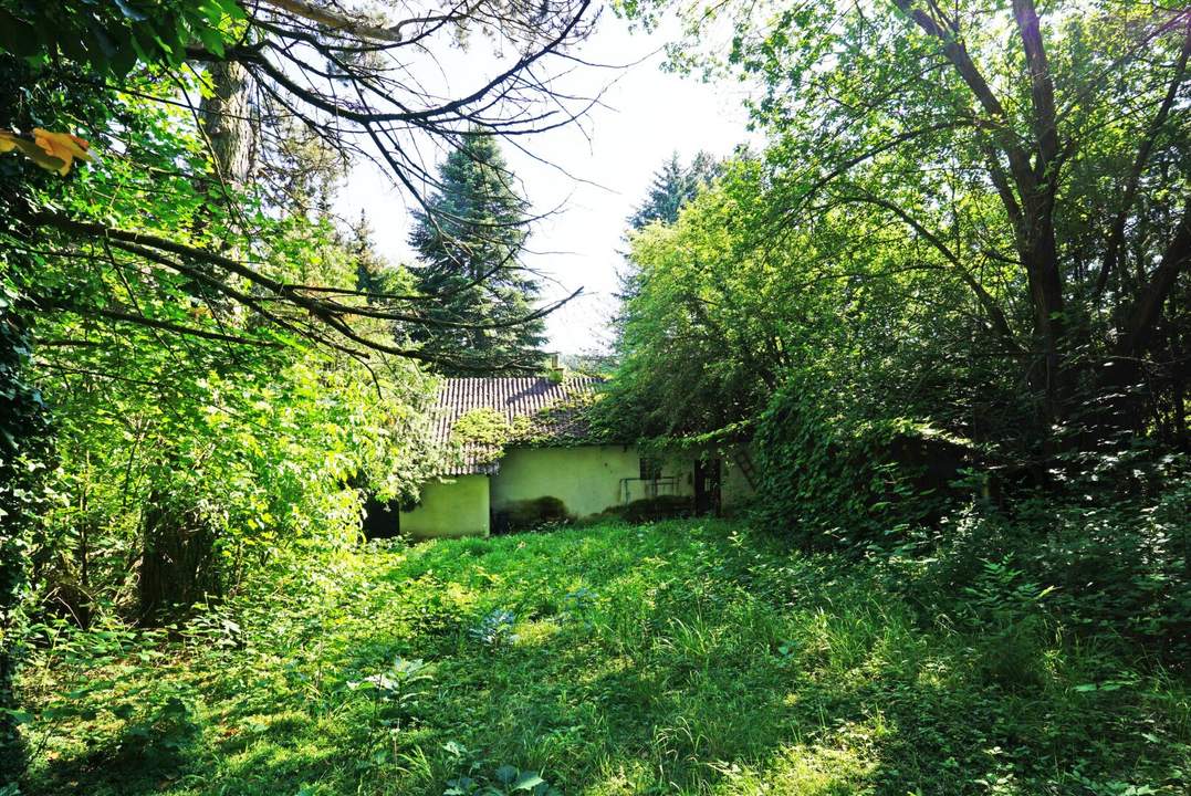 Großzügiges Baugrundstück mit Grünland und Altbestand im Irenental