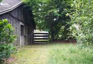 Altes Stein-Holzblockhaus mit großem Garten - perfekt für Naturliebhaber - aktuelle Fotos und Rundgang