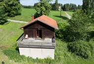 Zum Verkauf steht ein zusammenhängendes Landwirtschafts- und Waldgrundstück mit Holzhaus