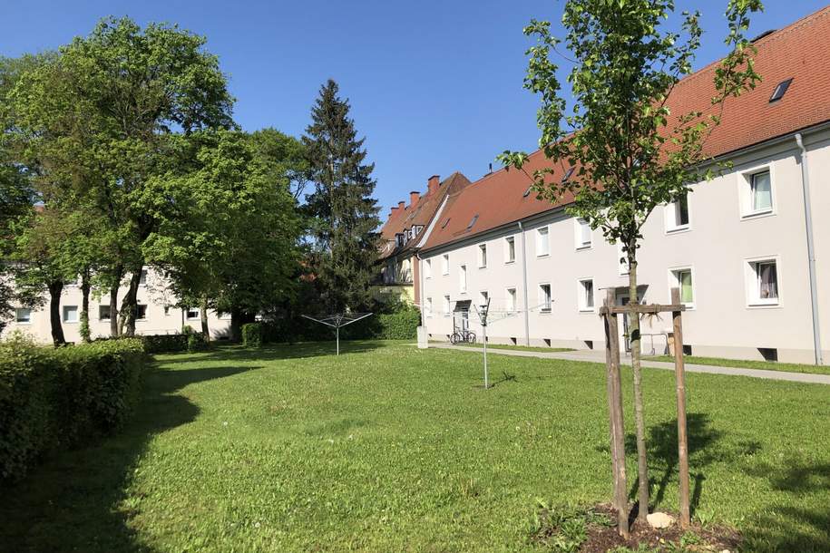 Erste eigene Wohnung gesucht? Preiswerte Starterwohnung - von Grünflächen umgeben - hell und sonnig - schöner Schnitt - perfekte Infrastruktur!, Wohnung-miete, 408,67,€, 4400 Steyr(Stadt)