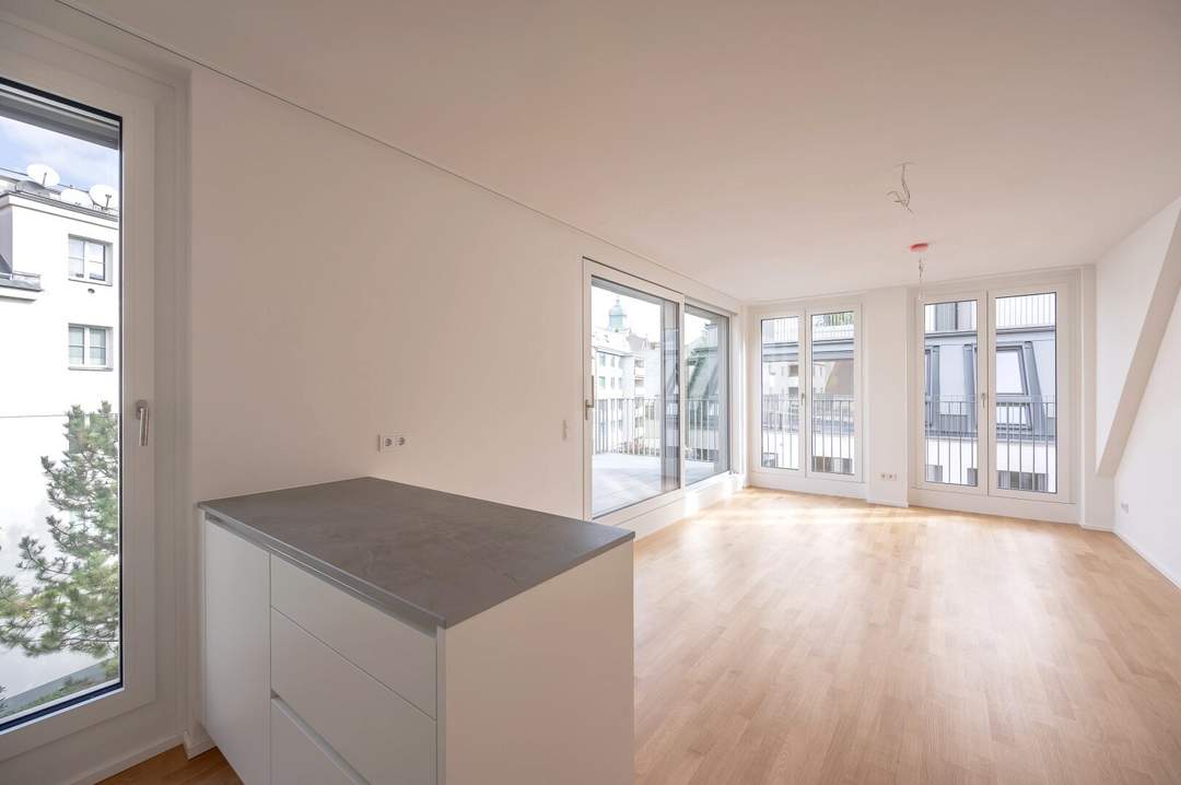 ++MOLLARD 50++ Unique 3-room apartment in the very heart of the city (2/12)!