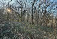 1170 / Idyllisches GRUNDSTÜCK (KLG) Eselstiege