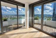 DANUBEFLATS: 41. Etage - Stephansdom, Prater &amp; Donaublick