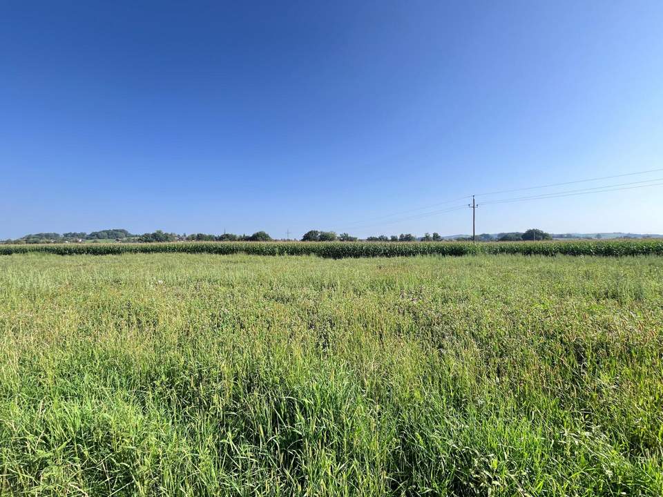 Ebener Baugrund in sonniger Ortsrandlage