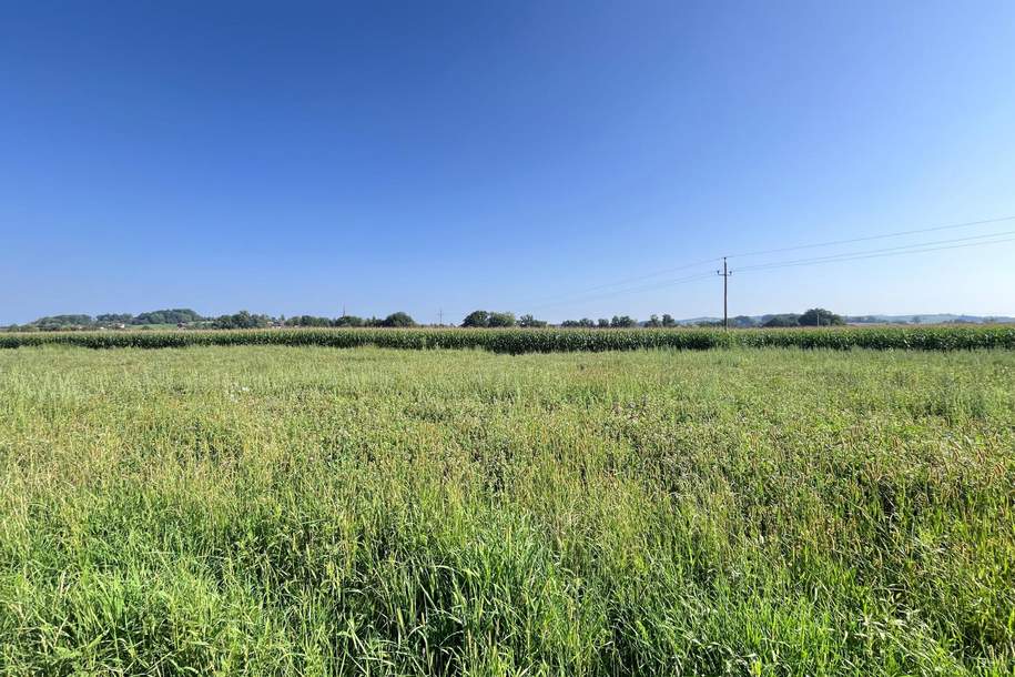 Ebener Baugrund in sonniger Ortsrandlage, Grund und Boden-kauf, 71.250,€, 4775 Schärding