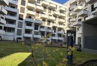 Aufblühen in Reininghaus