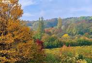 Exklusive Villa in den Weinbergen - traumhafter Ausblick