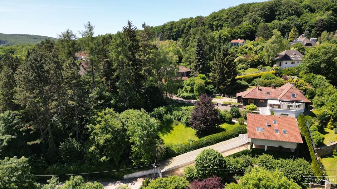MAUERBACH-STEINBACH | Außergewöhnliche Liegenschaft in idyllischer Ruhe- & Parklage auf bis zu 4.242 m² Grund | ZELLMANN IMMOBILIEN