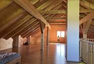 Skandinavisches Blockhaus mit Galerie, Kamin und großem Grundstück mit Fernblick