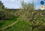 Familienwohntraum mit Gartenparadies und Ausblick ins Kamptal