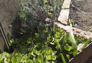 Tadten: Ausstattungszustand "kernsaniert und bezugsfertig"- Besichtigung auch Abends oder Wochenende möglich