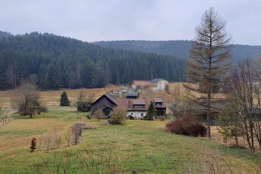 saniertes Bauernhaus mit Wintergarten, Pferde-Stallung und großem Stadel, Haus-kauf, 379.000,€, 3633 Zwettl