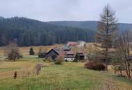 saniertes Bauernhaus mit Wintergarten, Pferde-Stallung und großem Stadel