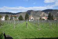 Schmuckstück in der Wachau