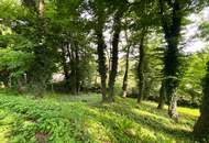 Idyllischer Baugrund am Waldrand mit romantischem Panoramablick über die Wienerwaldgemeinde Eichgraben