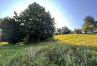 Interessantes Baugrundstück in Stadtnähe