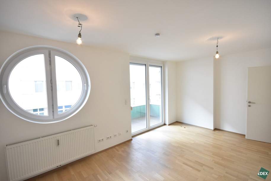 Schöne 1-Zimmer-Wohnung mit Balkon direkt an der Donau, Wohnung-miete, 799,00,€, 1220 Wien 22., Donaustadt
