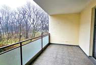 Große 3-Zimmer-Wohnung mit Loggia im Zentrum mit Parkblick