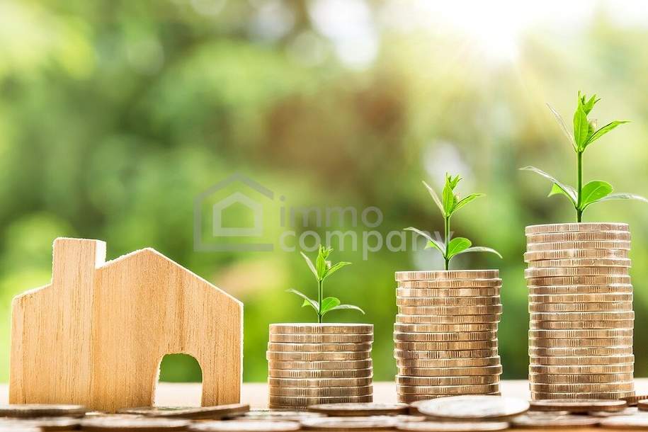 Renditeobjekt mit Potenzial: Zinshaus NÖ - 340m², vollsaniert, großer Garten, 8 Stellplätze, Gewerbeobjekt-kauf, 990.000,€, 2752 Wiener Neustadt(Land)