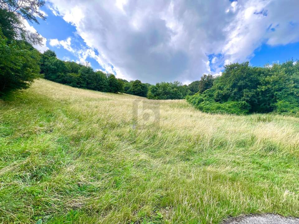 Preisreduktion! TRAUMHAFTES GRÜNLAND