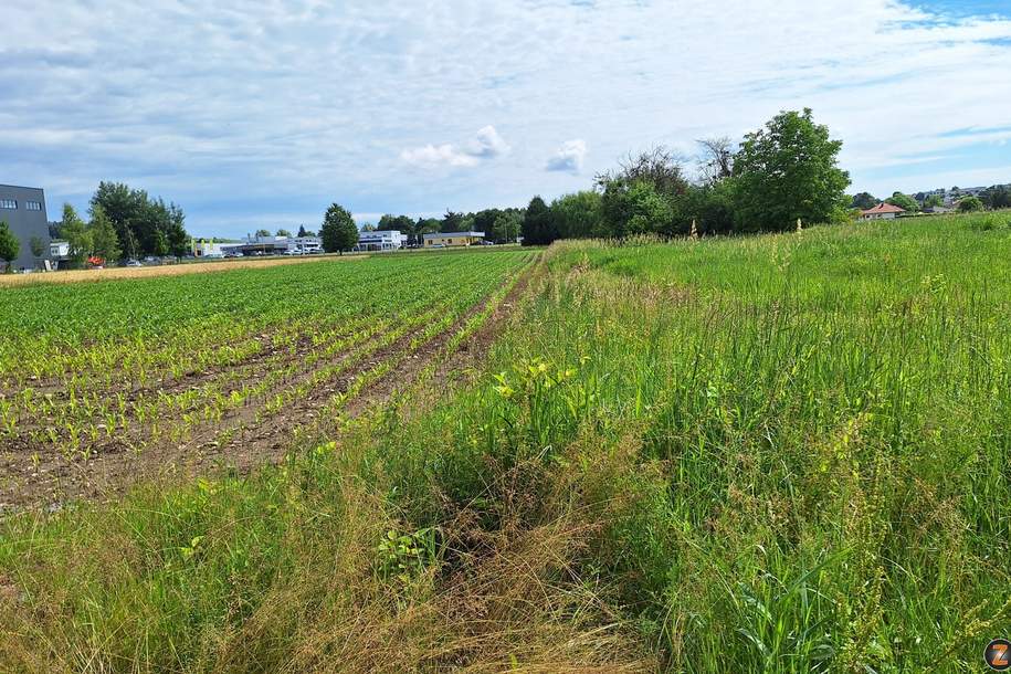 Oberwart: Betriebsbaugrund am Stadtrand!, Grund und Boden-kauf, 359.100,€, 7400 Oberwart