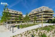 Hirschfeld - Ihr neues Zuhause im Grünen - anfragen, besichtigen, einziehen - 41 bis 96 m²