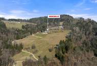 Herrliches Anwesen in traumhafter Alleinlage: Landwirtschaft mit modernem Wohnhaus