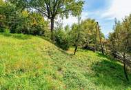 Sonniges Hanggrundstück mit Südausrichtung und Ausblick auf Berge und See