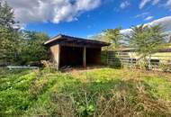 Reiterparadies im Weinviertel – Ihr Traum vom Landleben!