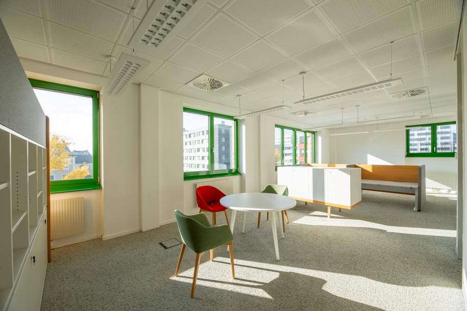 Große Bürofläche mit flexibler Raumaufteilung - PKW-Stellplätze möglich, Gewerbeobjekt-miete, 18.989,39,€, 1220 Wien 22., Donaustadt