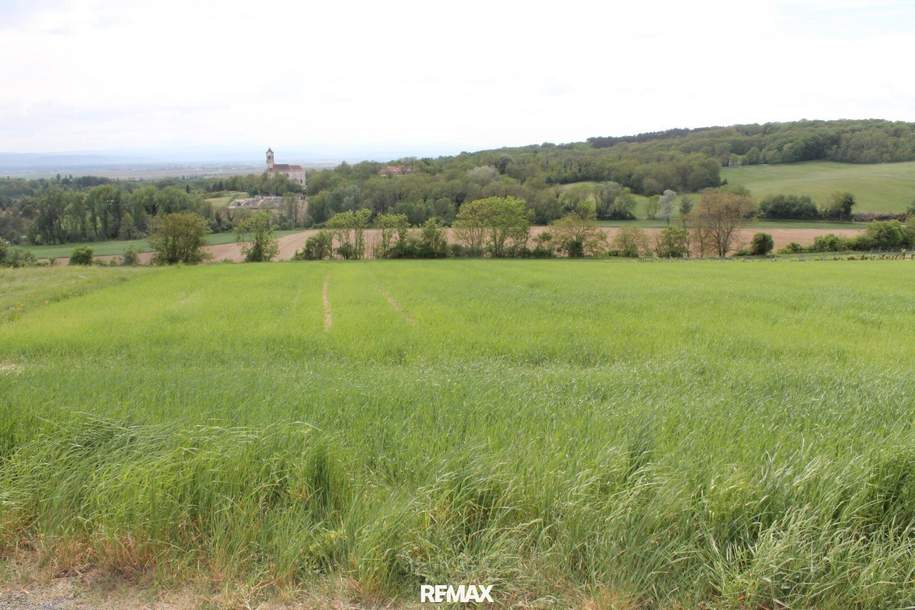 Ackerbau oder Weinanbau!, Gewerbeobjekt-kauf, 3702 Korneuburg
