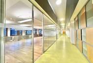 360 TOUR // LOFTBÜRO IN WIENER BÖRSE
