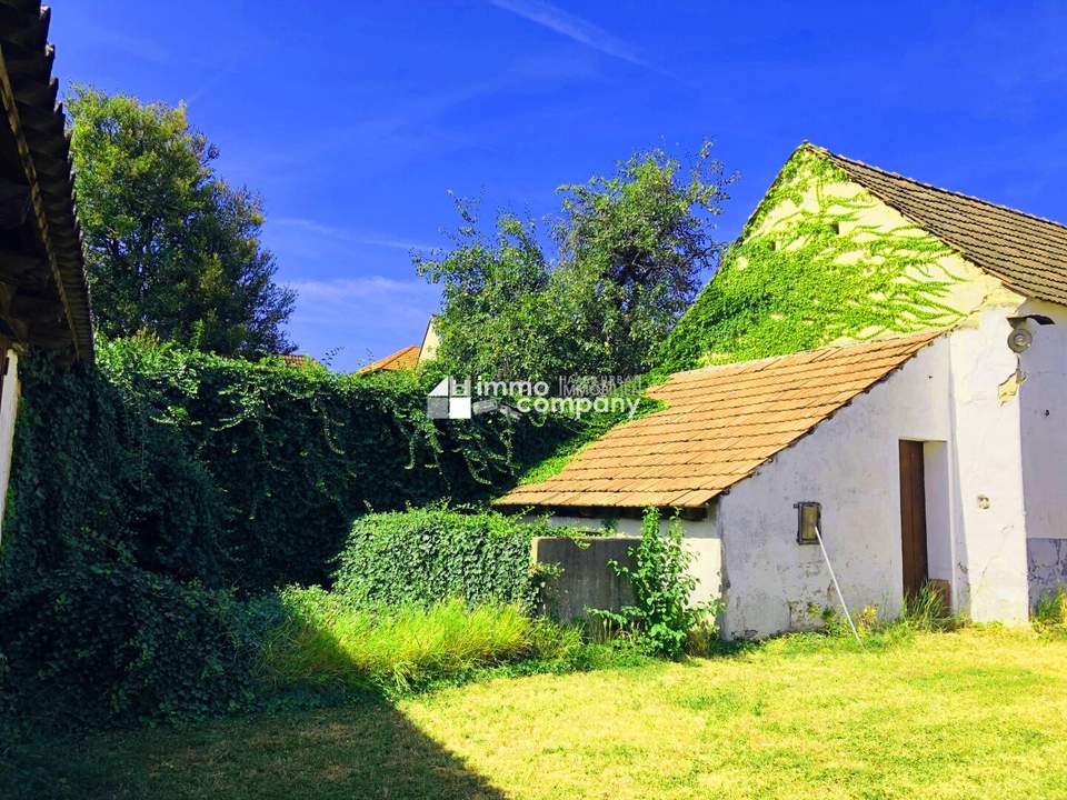 Weinbauern-Streckhof im Original -am Neusiedlersee