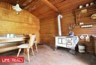 sonniges Grünland eingebetet neben Bach und Wald