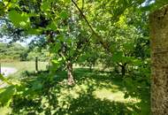 Gepflegtes Einfamilienhaus in Neuberg mit Nebengebäuden und großem Garten – Ihr neues Zuhause!